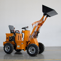 Minipala Compatta Diesel con Colore Personalizzabile 550kg 600kg 700kg - Prezzo Minipala Compatta da Giardino