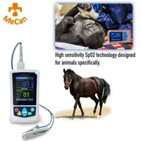 Pulsossimetro veterinario per cani e gatti tenuto in mano pulsossimetro veterinario portatile digitale portatile