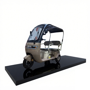 Tricycle <span class=keywords><strong>Électrique</strong></span> SonLink Vente en Gros 2025 800W, Vélo <span class=keywords><strong>Électrique</strong></span> Familial, <span class=keywords><strong>Scooter</strong></span> <span class=keywords><strong>Électrique</strong></span> à <span class=keywords><strong>3</strong></span> <span class=keywords><strong>Roues</strong></span> <span class=keywords><strong>avec</strong></span> <span class=keywords><strong>Toit</strong></span> - Product Image 3
