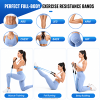Bandas de resistencia TPE para puerta con asas, correa de anclaje para puerta para gimnasio en casa, entrenamiento de cuerpo completo, logotipo personalizado