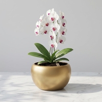 Vente en gros de pots de fleurs artificielles en orchidée, écologiques, style Japandi, rustiques, pour jardin extérieur, mariage, bureau, en PP verni, 12L