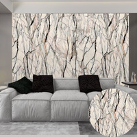 Espejo de tablero de mármol UV de PVC de alta calidad de diseño moderno y clásico para sala de estar tablero de impresora UV de alto brillo