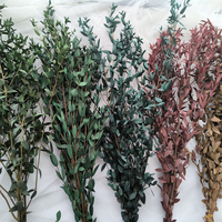 Tiges d'eucalyptus séchées conservées Verdure préservée Véritable Eucalyptus frais exotica Branches de plantes couronne décoration de mariage à la maison