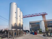 Cuve de Fermentation Sanitaire en Acier Inoxydable 5BBL 10BBL 20BBL pour Brasserie Artisanale et Pub