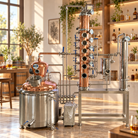 Alambic de distillation domestique 200L en acier inoxydable et cuivre rouge, avec colonne de distillation et chaudière, pour la production de whisky et de spiritueux artisanal