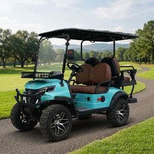 FJHKCN Sm858-A voiture de tourisme électrique 24 nouveau chariot de golf cabriolet Scooter à 4 roues OEM civière modifiée camionnette 3.5-5kw - Product Image 5