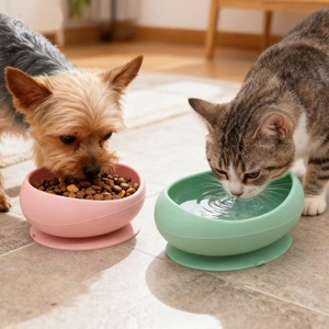 Bol de voyage portable en silicone écologique, anti-fuite, pour chiens, chats et petits animaux, idéal pour les sorties en extérieur. - Product Image 1
