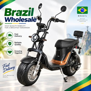 Monopattino Elettrico 701 per Adulti, Fornitura per Distributori in Brasile, Pronta Consegna, 1000W 60V20Ah, Mobilità Urbana per Adulti - Product Image 6