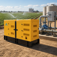 Générateur Diesel Silencieux Cummings Weichai 20kVA 25kVA 100kVA 200kVA 300kVA 1100kW 1250kVA Type Ouvert Puissance de Base pour Usage Industriel EXW