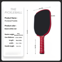 Raquette de pickleball Agasi Pro approuvée par l'USAPA, GEN4, noyau en nid d'abeille TFP, 16 mm, 14 mm, grand sweet spot, fibre de carbone brute T700