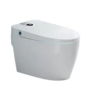 2024 Japanese P Trap Elongated Bowl With Tank Electric Toilet Rides With Heated Bidet Sensor So Smart Dry Toilet