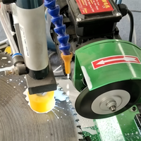 Machine automatique d'affûtage de lames de scie circulaire à dents en carbure TCT
