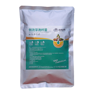 Poudre de Bacillus Laterosporus hydrosoluble 100 milliards d'UFC/g pour fertigation, pulvérisation foliaire et application en étang aquacole - Product Image 2