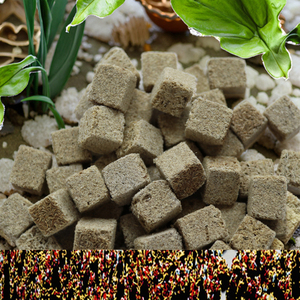Copos de alimentos para peces tropicales de alta calidad, producción china profesional, seductora a la <span class=keywords><strong>venta</strong></span> - Product Image 5