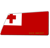 Tapis de sol d'entrée SAIPAN avec drapeau, tapis de bienvenue intérieur et extérieur, tapis de sol à profil bas pour entrée et patio