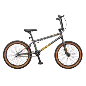 20 Inch Performance BMX Street Car Extreme Fancy Children's Bike Mountain Bike Kids Bikes For Boy Children