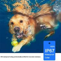 Collier de dressage pour chien T755 avec télécommande 800m, étanche IP67, 4 modes, 20 niveaux, 3 canaux, vente en gros OEM