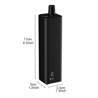 Amplificateur stéréo miniature intra-auriculaire HiFi portable haute puissance en métal P3 professionnel pour les amateurs de musique