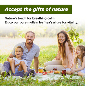 Chinaherbs Mullein yaprak çay özel Logo karışımlı çin bitkisel Quit sigara çiçek çayı için akciğer temizlemek çanta içinde paketlenmiş - Product Image 6