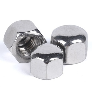 DIN 1587 Acorn Cap Dome Nuts A4 Stainless Steel Metric M6-1.0 1000 pcs DIN 1587 Acorn Cap Dome Nuts A4 Stainless Steel Metric M6-1.0 1000 pcs
