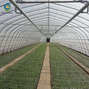 Sainpolytunnel Nhà Kính Ở Ba Lan Phim Nhựa 8X30M Trang Trại Rau Xanh Nhà Kính Nông Nghiệp Dọc Trang Trại Cho Tom - Product Image 5