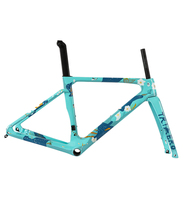 Cuadro de freno de disco de carbono pintado personalizado con prueba UCI