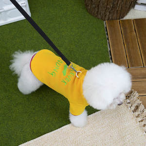 Abbigliamento per Animali Domestici, Vestiti per Cani Autunno Inverno, Nuovo Outfit in Pile a Due Zampe per Teddy, Bichon e Gatti - Product Image 4