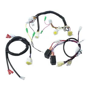 OEM Electric moped Motorbike wire harness assembly
