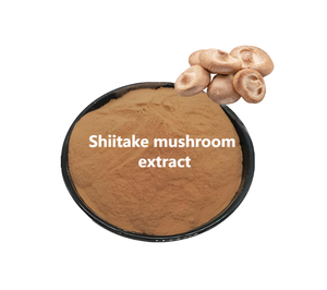 <span class=keywords><strong>Ahcc</strong></span> Supplément de champignon en poudre en vrac <span class=keywords><strong>Shiitake</strong></span> 100% Pure Private Label Mycelia Shitake Extract - Product Image 2