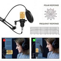 Carte son d'usine OEM avec microphone à condensateur Kits multimédias pour équipement d'enregistrement de radiodiffusion Kit de carte son