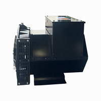 Générateur diesel sans balais de type Stanford 10 kVA 20 kVA, alternateur silencieux portable avec AVR pour alimentation de secours industrielle