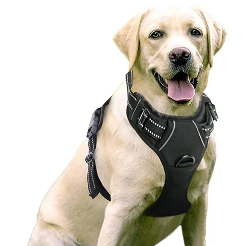 Hersteller-Großhandel individuelles großes und mittleres hundebrustgurt-Set Anti-Breit-Out-Plüngestoß Hundereflexions-Hundegurt-Set