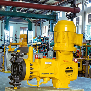 Pompe doseuse 100 % originale et authentique Roy PRIMEROYAL série PH, OEM, pour traitement de l'eau municipale et industrielle, PRIMEROYAL PH hydraulique - Product Image 4