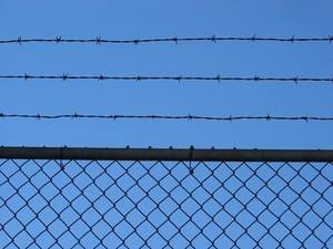 Проволочное ограждение-колючая проволока - Product Image 3