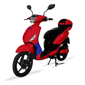 Eec Coc Certificate No Anti-dumping Duty 800w 1000w Pedal Assisted Electric Scooter Other Electric Motorcycle China Supplier