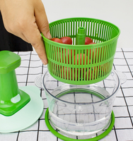 Hachoir manuel multifonctionnel pour légumes et viande, mixeur portable, presse-oignon, hachoir à ail, écologique