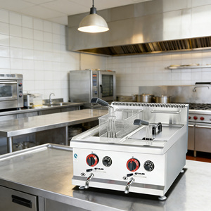 Commercial Natural Gas Deep <strong>Fryers</strong>, in Double or Double <strong>Cylinder</strong> S, Are Available at Low <strong>Prices</strong> for Wholesale Purchase. - Product Image 4