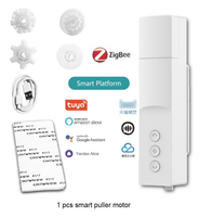 Tuya ZigBee Smart Perlenketten-Rollo-Motor Batteriebetriebener Elektrischer Rolloöffner mit Solaraufladung App-Sprachsteuerung OEM