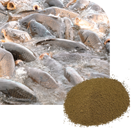 Mycopeptide 70% Source d'azote pour l'élevage de poissons Additifs alimentaires pour pisciculture en poudre et granulés Certifié ISO-9001 Marque MIDI FEED