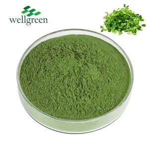 ウェルグリーントップセラー7種類のグリーンブレンドベジタブルパウダーミックスグリーンパウダー