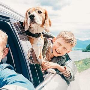 ป้ายชื่อสัตว์เลี้ยง พวงกุญแจสแตนเลส สลักชื่อสัตว์เลี้ยงตามสั่ง บัตรประจำตัวสัตว์เลี้ยง จี้โลหะ ของขวัญ ทนทานต่อสภาพอากาศ IP54 น้ำหนักเบา 0.073 กก. - Product Image 5