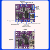 Módulo de Sonido con Sensor Magnético, Botón de Encendido, Luz y Altavoces Descargables por USB, Memoria de 16M, Batería Recargable para Tarjetas de Felicitación