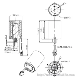 Solenoide tubolare professionale BS-4563T DC 12V 24V solenoide