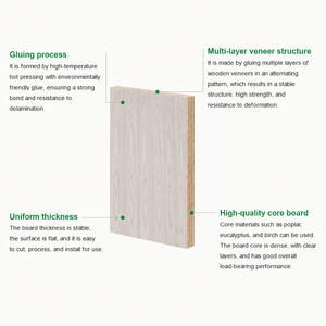 Natural Wood <strong>Veneer</strong> Faced Plywood For Furniture Cabinet Wall Panel Interior Decoration Use-Nancy - Product Image 5