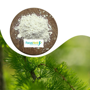 FocusHerb Natural, polvo de taxifolina, dihidroquercetina, 98%, taxifolina - Product Image 3