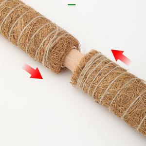 40cm tige <span class=keywords><strong>de</strong></span> mousse <span class=keywords><strong>de</strong></span> cocotier fibre <span class=keywords><strong>de</strong></span> <span class=keywords><strong>coco</strong></span> bâton <span class=keywords><strong>de</strong></span> canne <span class=keywords><strong>à</strong></span> grimper dos <span class=keywords><strong>de</strong></span> tortue soutien <span class=keywords><strong>de</strong></span> <span class=keywords><strong>la</strong></span> croissance des plantes pôle <span class=keywords><strong>de</strong></span> mousse bâton <span class=keywords><strong>de</strong></span> <span class=keywords><strong>coco</strong></span> - Product Image 4