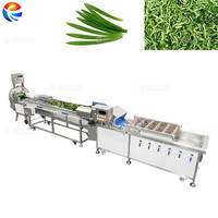 Pandanbladeren Groente Fruit Bellenwasmachine Snijmachine en Sapblender