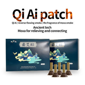 Patchs de moxibustion amincissants de désintoxication corporelle de vente chaude pour les soins de santé et le bien-être familial efficaces pour les maladies chroniques - Product Image 2