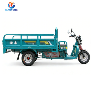 Ventes en gros de tricycles électriques durables, tricycles électriques cargo utilisés pour le <span class=keywords><strong>transport</strong></span> urbain de marchandises - Product Image 5