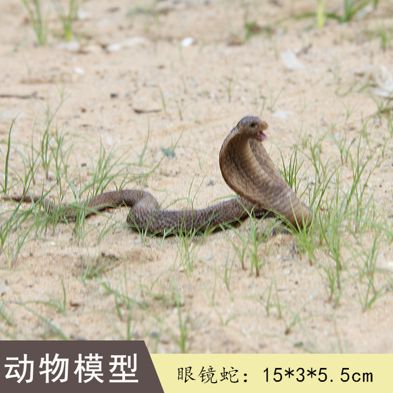 Cobra